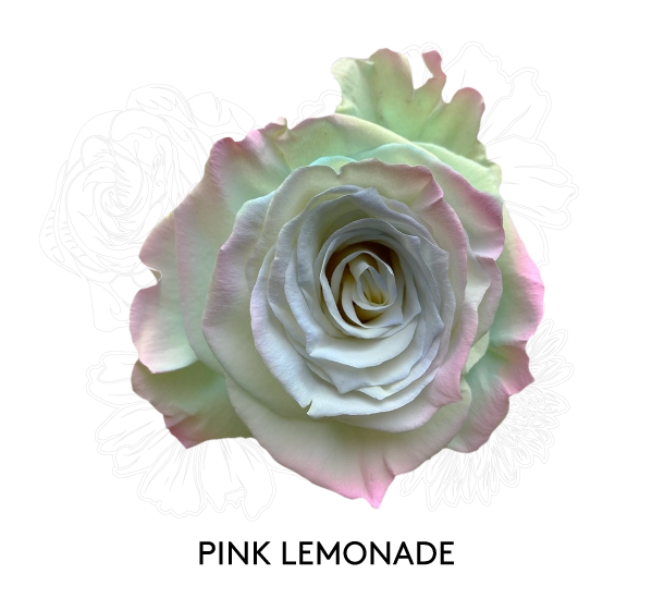 PINK LEMONADE
