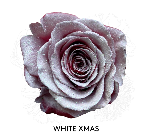 WHITE XMAS