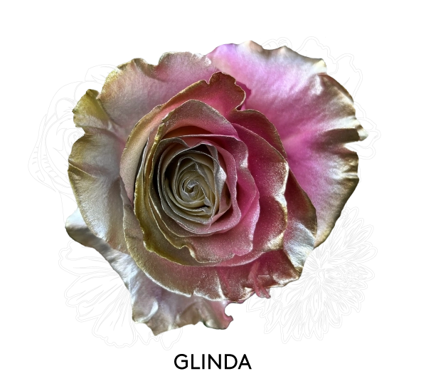 GLINDA