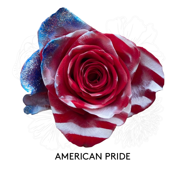 AMERICAN PRIDE