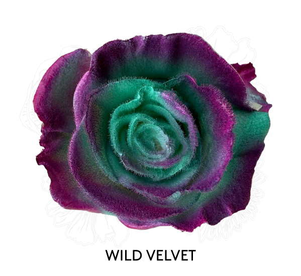 WILD VELVET