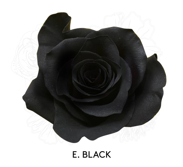 E. BLACK
