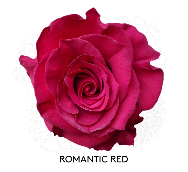 ROMANTIC RED