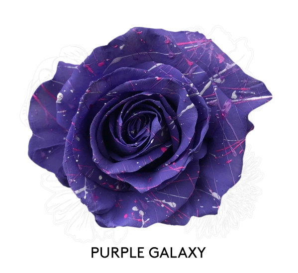 PURPLE GALAXY