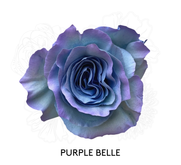 PURPLE BELLE