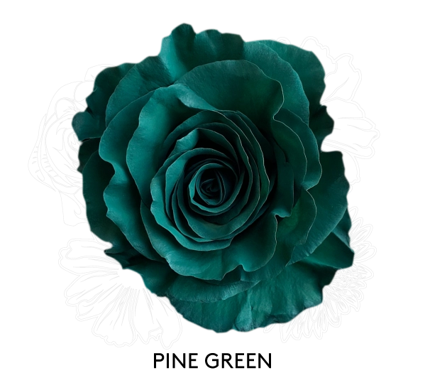 PINE GREEN