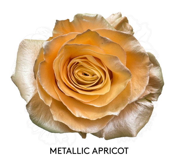 METALLIC APRICOT