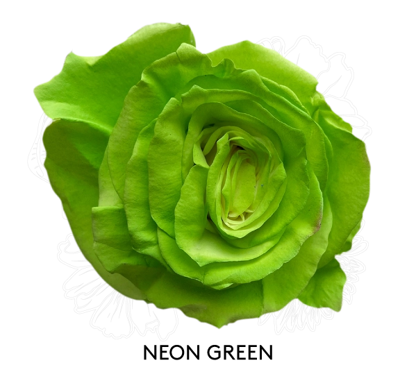 NEON GREEN
