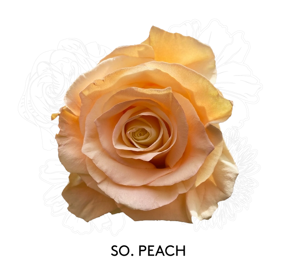 SO. PEACH