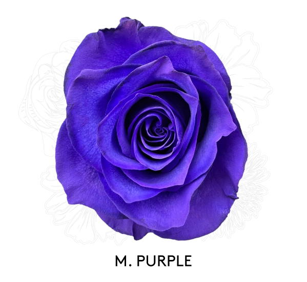 M. PURPLE