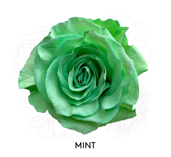 MINT