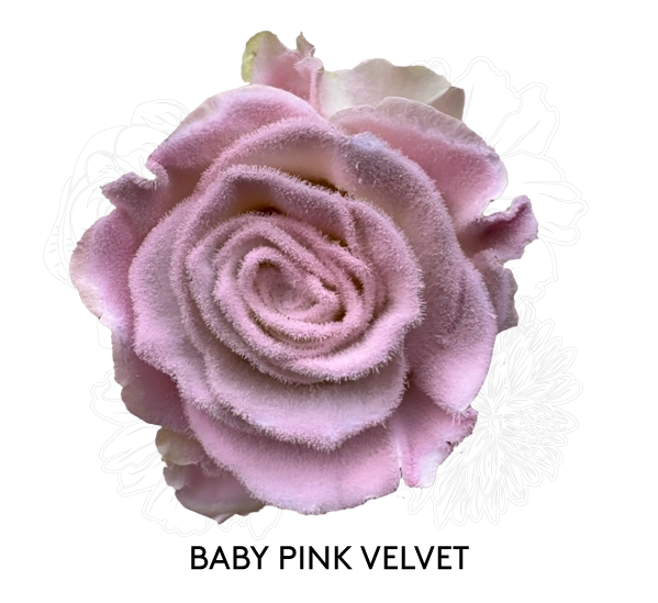 BABY PINK VELVET