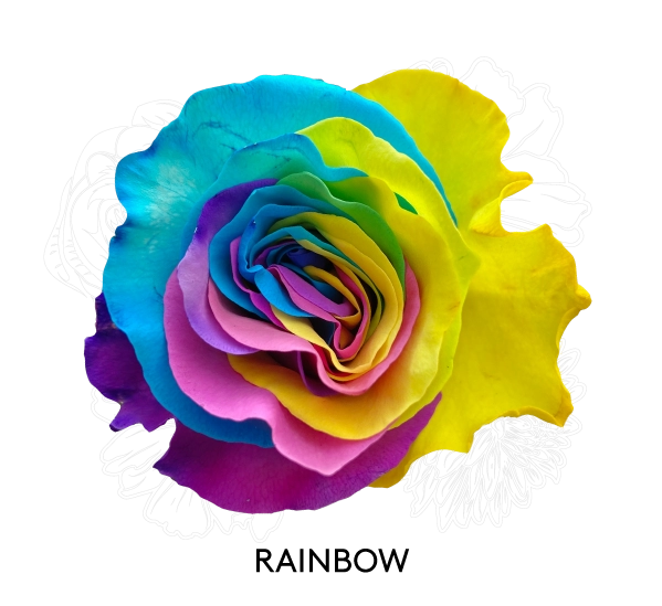 RAINBOW