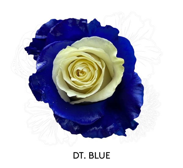 DT. BLUE