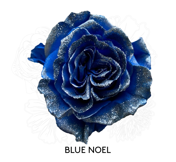 BLUE NOEL