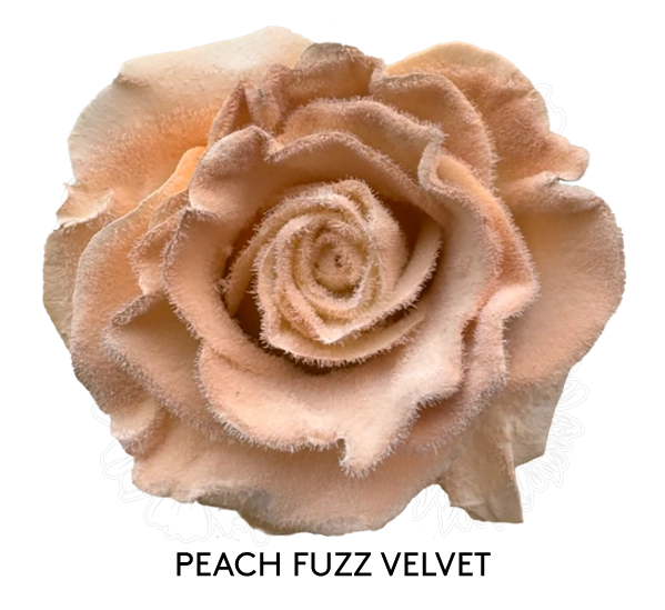 PEACH FUZZ VELVET