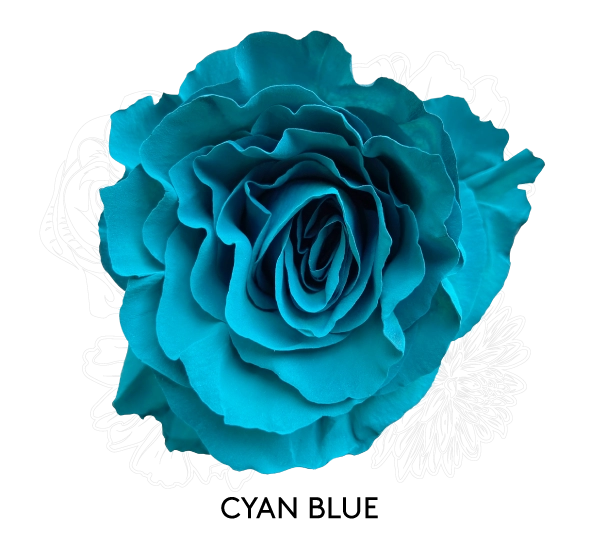 CYAN BLUE
