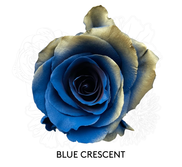 BLUE CRESCENT