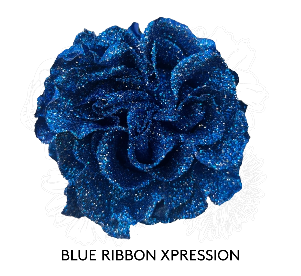 BLUE RIBBON XPRESSION