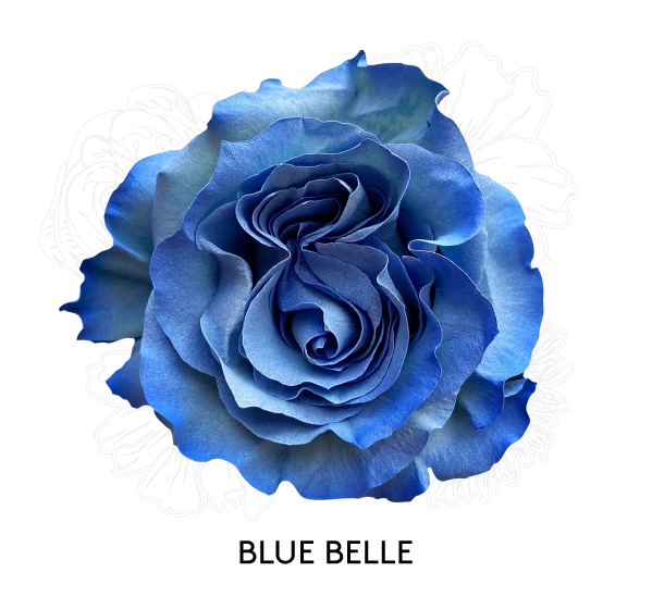 BLUE BELLE
