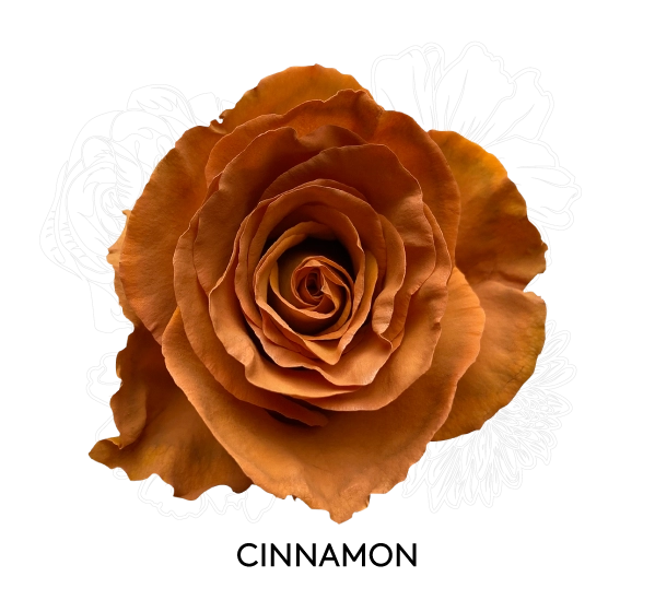 CINNAMON