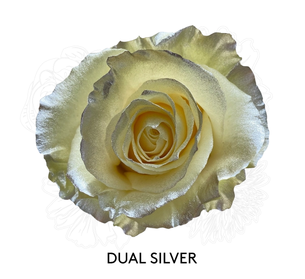 DUAL SILVER