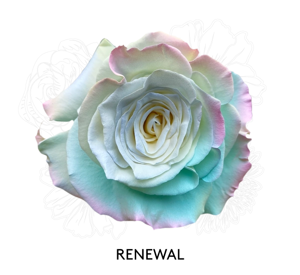 RENEWAL
