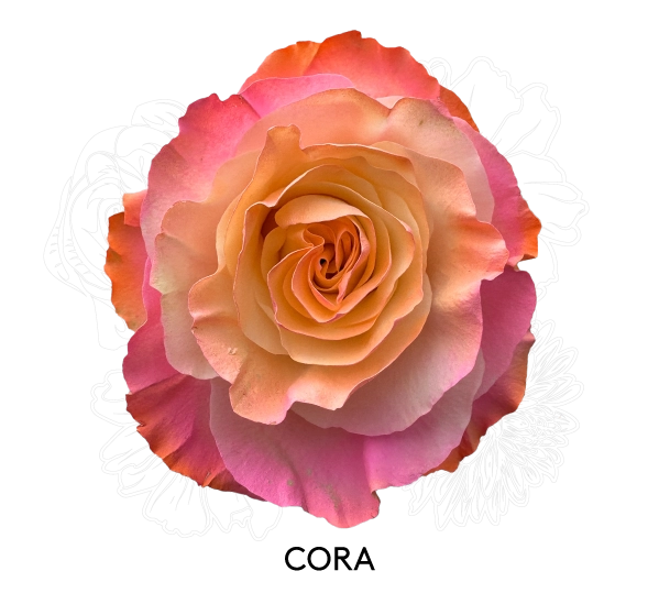 CORA