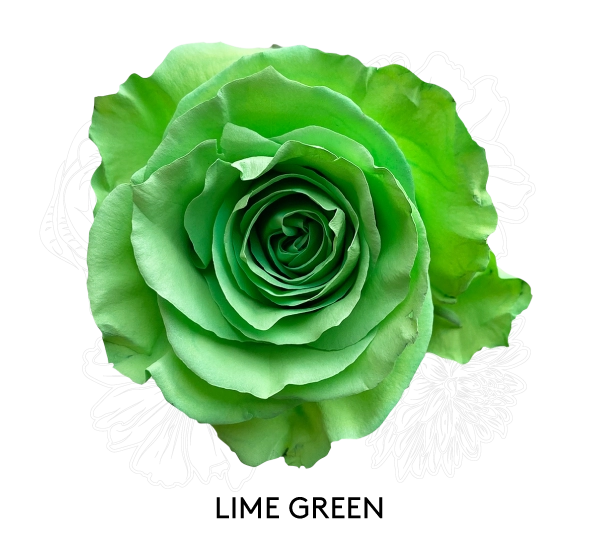 LIME GREEN