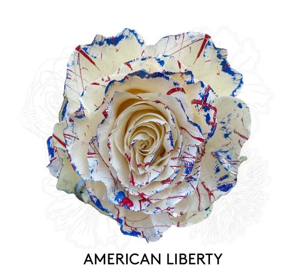 AMERICAN LIBERTY