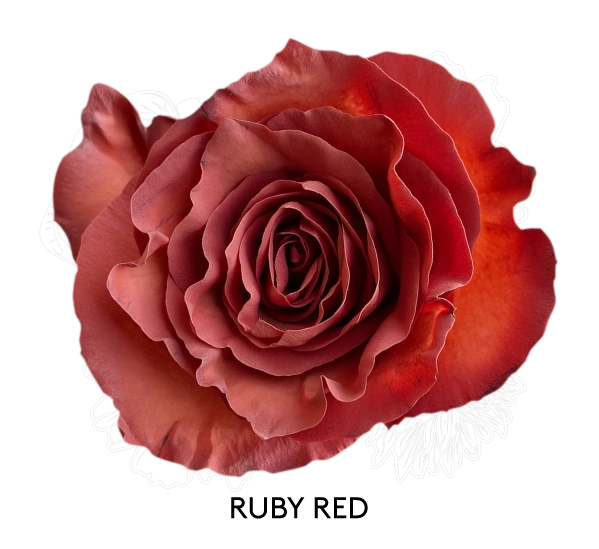 RUBY RED