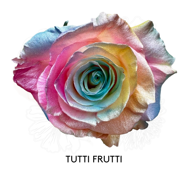 TUTTI FRUTTI