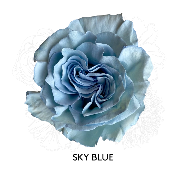 SKY BLUE