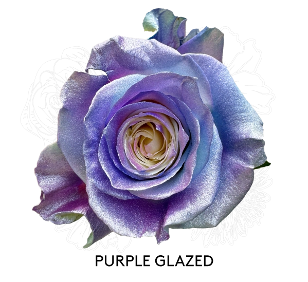 PURPLE GLAZED