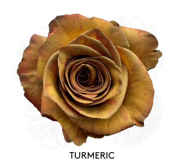 TURMERIC