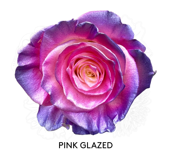 PINK GLAZED