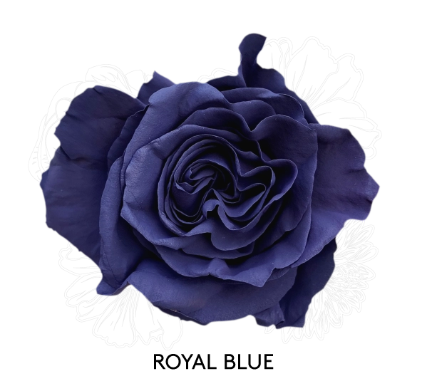 ROYAL BLUE