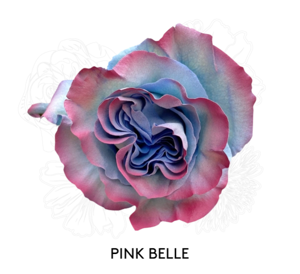 PINK BELLE
