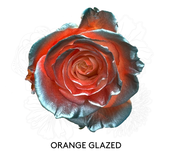 ORANGE GLAZED