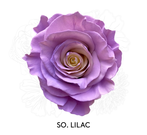 SO. LILAC