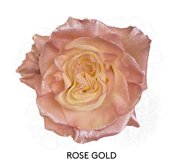 ROSE GOLD