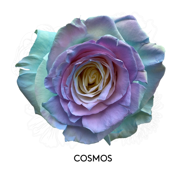 COSMOS