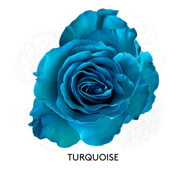 TURQUOISE