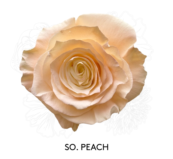 SO. PEACH