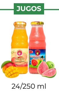 MANGO NECTAR, GUAVA NECTAR - MOUNSIER PAPA - 24/250 ml