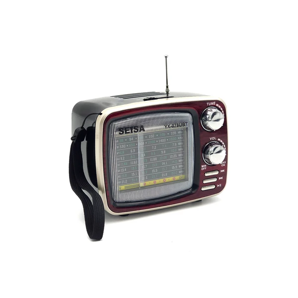 RADIO PORTATIL FM USB Y BLUETOOTH YX-078UBT