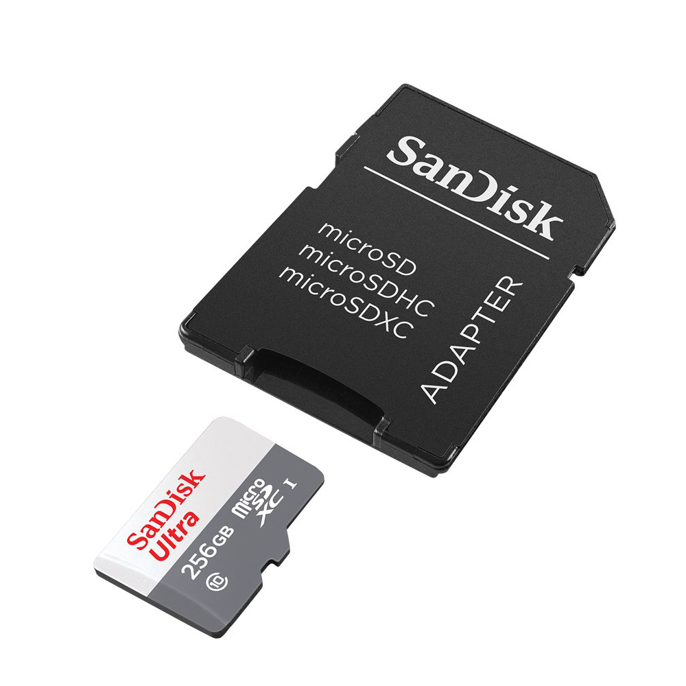 TARJETA SD SANDISK 256GB