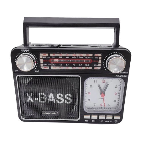 PARLANTE BT RADIO Y TARJETA SD CON LUCES ECOPOWER 
