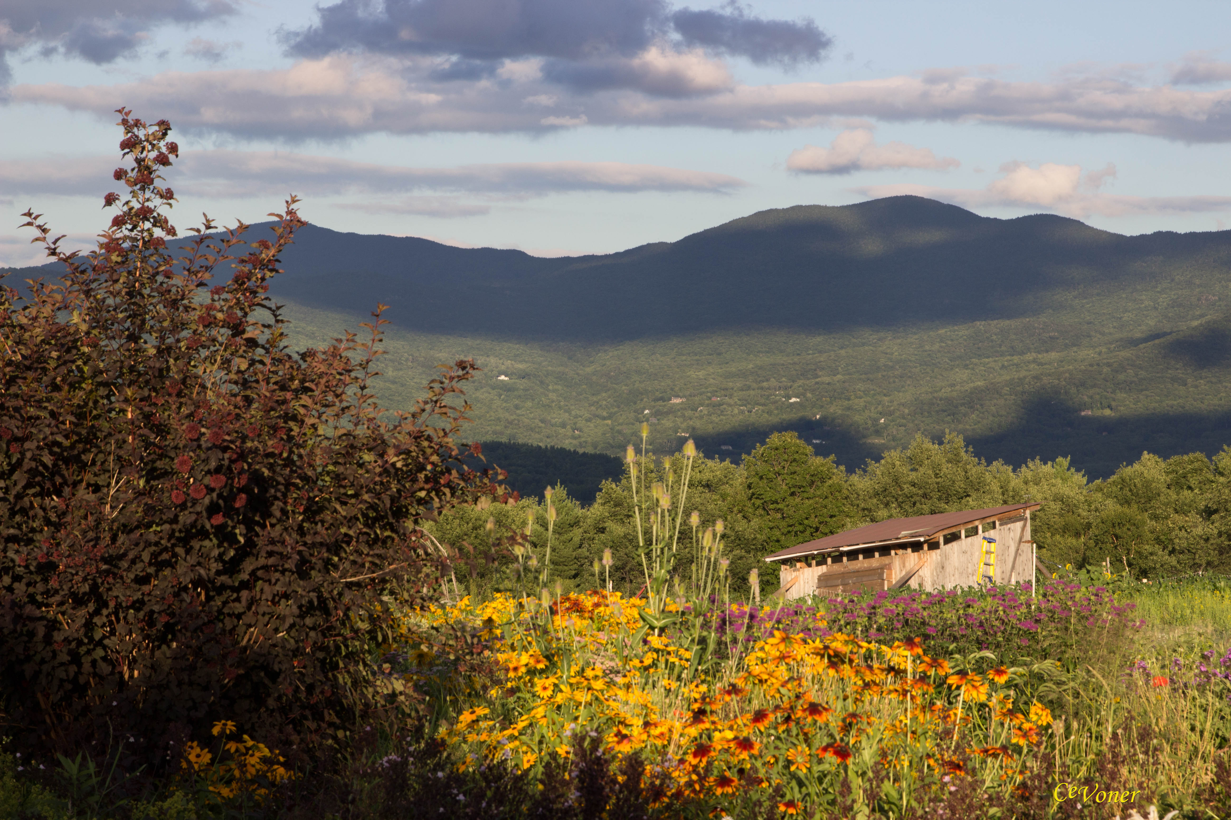 View from Luce Hill, Vermont
