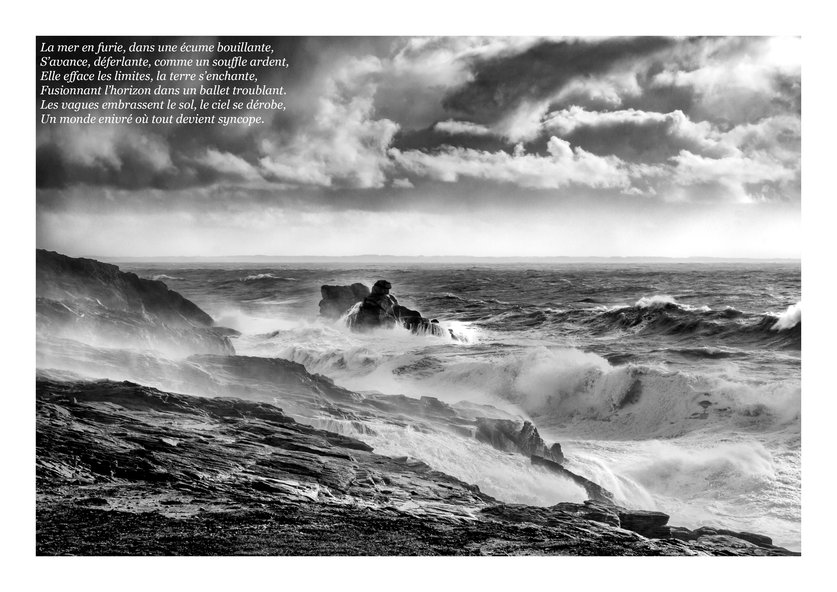 Livre photos en noir et blanc 
